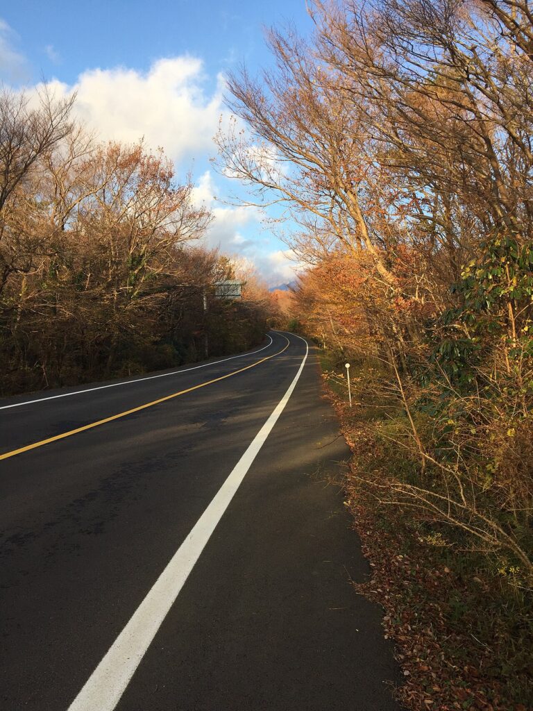 A mountain road on Hallasan, Jeju Island