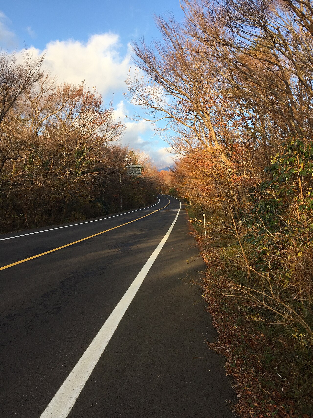 A mountain road on Hallasan, Jeju Island
