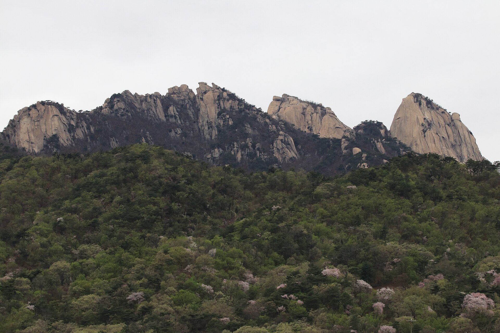新緑の北漢山の稜線(春の北漢山 登山)