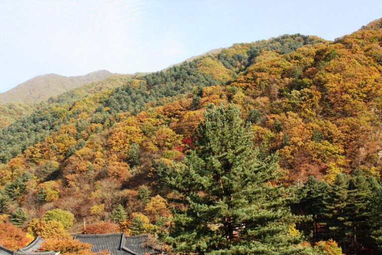 Garden of Morning Calm in Gapyeong, a day trip from Seoul