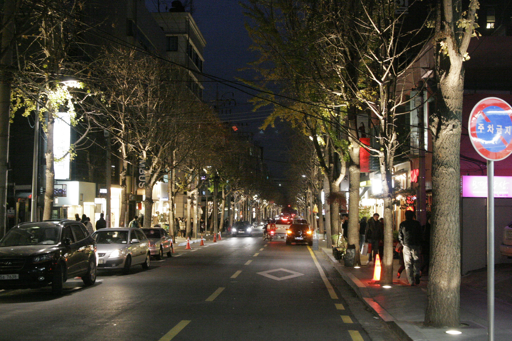 Ginkgo-lined Garosu-gil street in Gangnam lit up at night