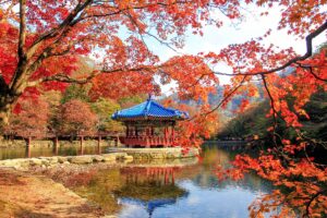 Naejangsan pavilion beside a pond framed by red maple leaves in autumn