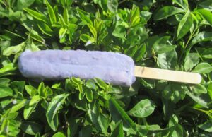 Melona purple yam ice bar, a Korean ice cream bar sold in convenience stores and ice cream shops