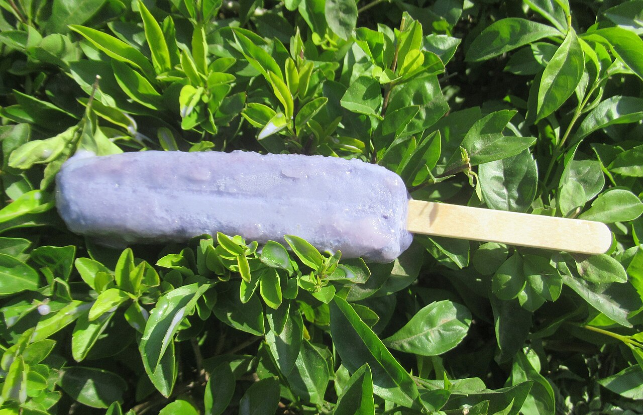 Melona purple yam ice bar, a Korean ice cream bar sold in convenience stores and ice cream shops