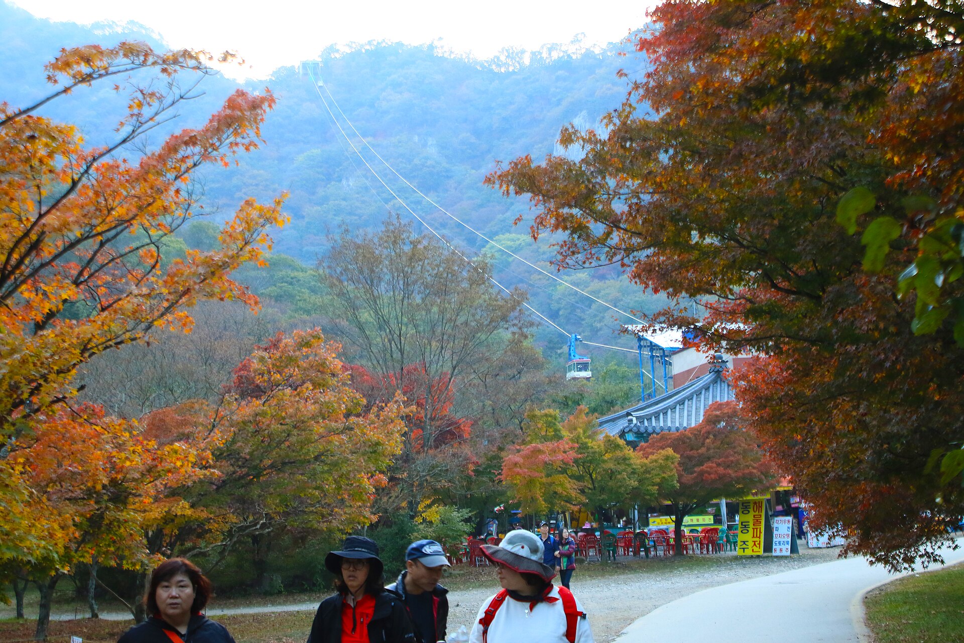 Orange and red autumn foliage along the path to the Naejangsan cable car