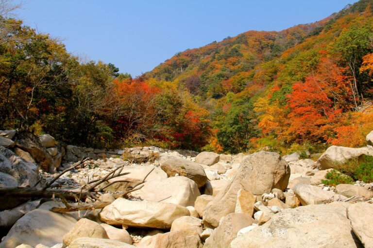 Autumn foliage in Seoraksan National Park for a Seoraksan day trip